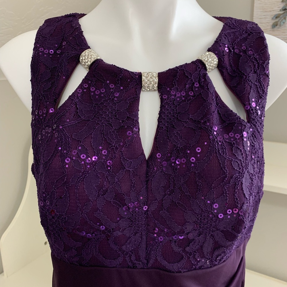Rich Purple Dress